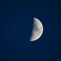 half of moon :: Ирина Кучер