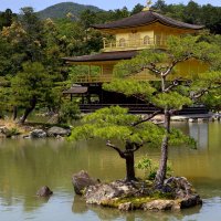 Золотой павильон в Киото :: Геннадий Мельников