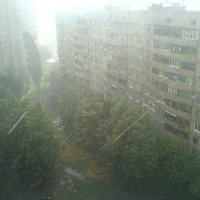 Весенний дождь :: Светлана 