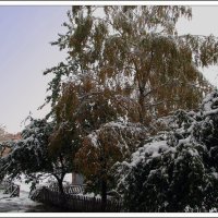 Снегопад в начале октября :: Тарас Грушивский