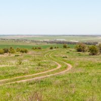 Дорога в степи. :: Николай Симусёв