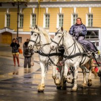 Конный экипаж, Дворцовая площадь :: Катерина L.A.