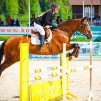 В лошадях бесконечное множество тайн и возможностей. :: Alesya Safe