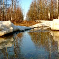 Начало весны. :: Анатолий Борисов