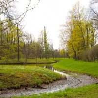 Плавные изгибы  парка :: Литвинов Валерий 