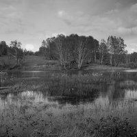 Озеро, где живут караси. :: Александр Гурьянов