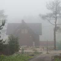 утренний туман :: ник. петрович земцов
