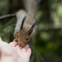 Общение :: Литвинов Валерий 