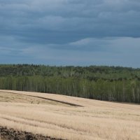 Краски полей. :: Инна Кузнецова