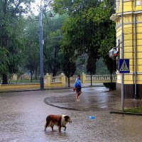 Майский дождь. :: Slava Slashi