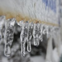 Зима :: Евгения Степаненко
