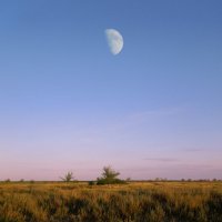 Лунный восход :: Yuliana Nebel