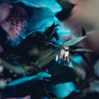 Wedding Rings :: Георгий Чернядьев