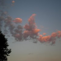 Облака на закате :: Татьяна Пальчикова