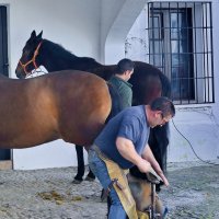 Подковывание лошадей. Плаза де торос в Ронде. Испания. :: Виталий Половинко