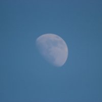 Луна 2 :: Алексей Чеботарёв