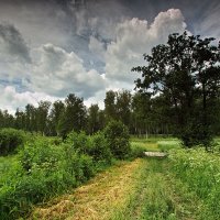 Пейзаж :: Владимир 