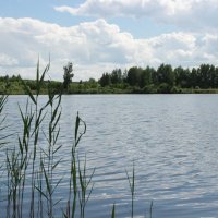 Озеро :: Анастасия S