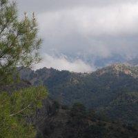 Горы Троодос. Кипр. :: Нелли *