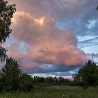розовое облако в тишине заката... :: Galina 
