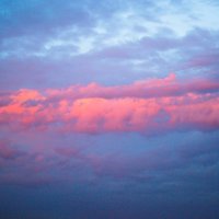 Розово-ванильные облака :: Евгения Сихова