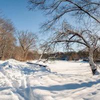 Воспоминания о зиме :: Vadim Raskin