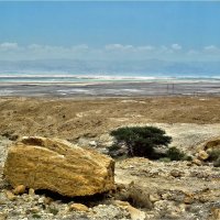 У самого Мертвого моря :: Аркадий Голод