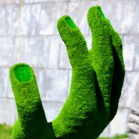 "Зелёная рука" :: Виталий Дарханов