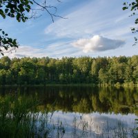 Озеро Долгое :: Денис Пшеничный