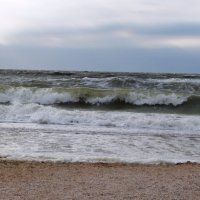 шторм на море :: Дарья Неживая