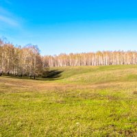 Поля :: Алёнка Шапран