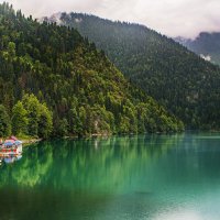 Озеро Рица. Абхазия :: Helena Olipir
