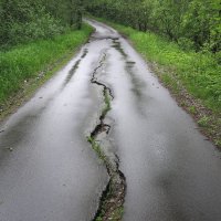 Мокрая дорога :: anna borisova 