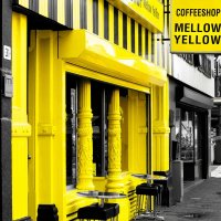 Кофе-шоп в Амстердаме :: Евгений Андреев
