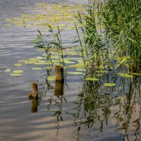 ... :: Александр Рамус