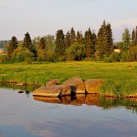 Летний вечер :: Ольга 