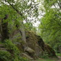 Парк Монрепо в Выборге. :: Нина Червякова