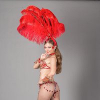 Бразильская танцовщица :: Владимир Саблин
