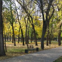 "В осеннем парке городском слетает желтый лист....." :: Михаил Болдырев 
