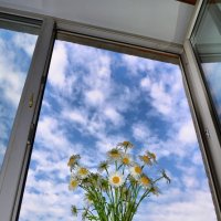 ромашки, небо и окно :: Евгений Фролов