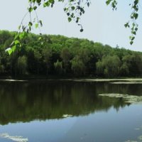 Дендропарк, г. Полтава :: Сергій Полухін