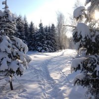 Зимний крещенский день :: Наталья Александрова