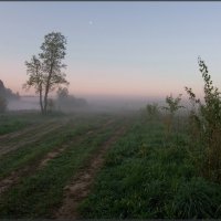 Раствориться в тумане... :: Надежда Лаврова