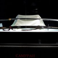 Японский длинный меч ( Выставка Самураи, 47 Ронинов ) :: Александр Запылёнов