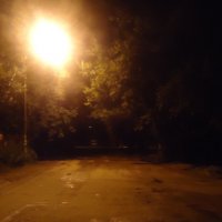 Ночная дорога :: Ольга 