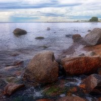 Берег Финского залива... :: Иван Солонинка