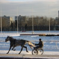 Разминка :: Ольга olga.puteshestvennik