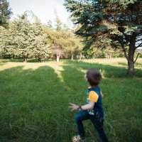 pursuit of a flying kite :: Анна Карпова