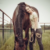 Horse :: Мила Семенова
