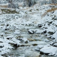 Река Ала-Арча (Зима 2014) :: Ярослав Казаченко